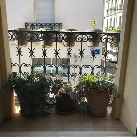 Simone's Montpellier