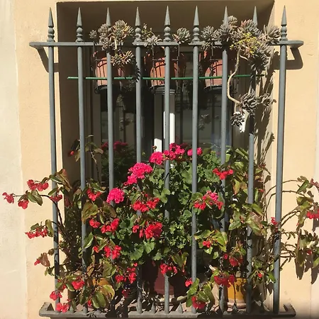 Simone's Bed & Breakfast Montpellier