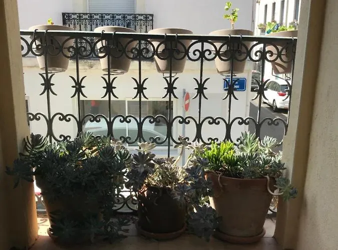 Simone's Montpellier