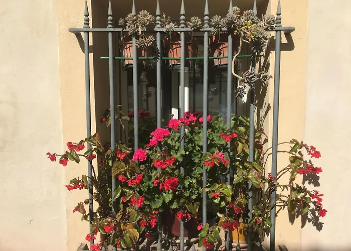 Simone's Alojamento de Acomodação e Pequeno-almoço Montpellier